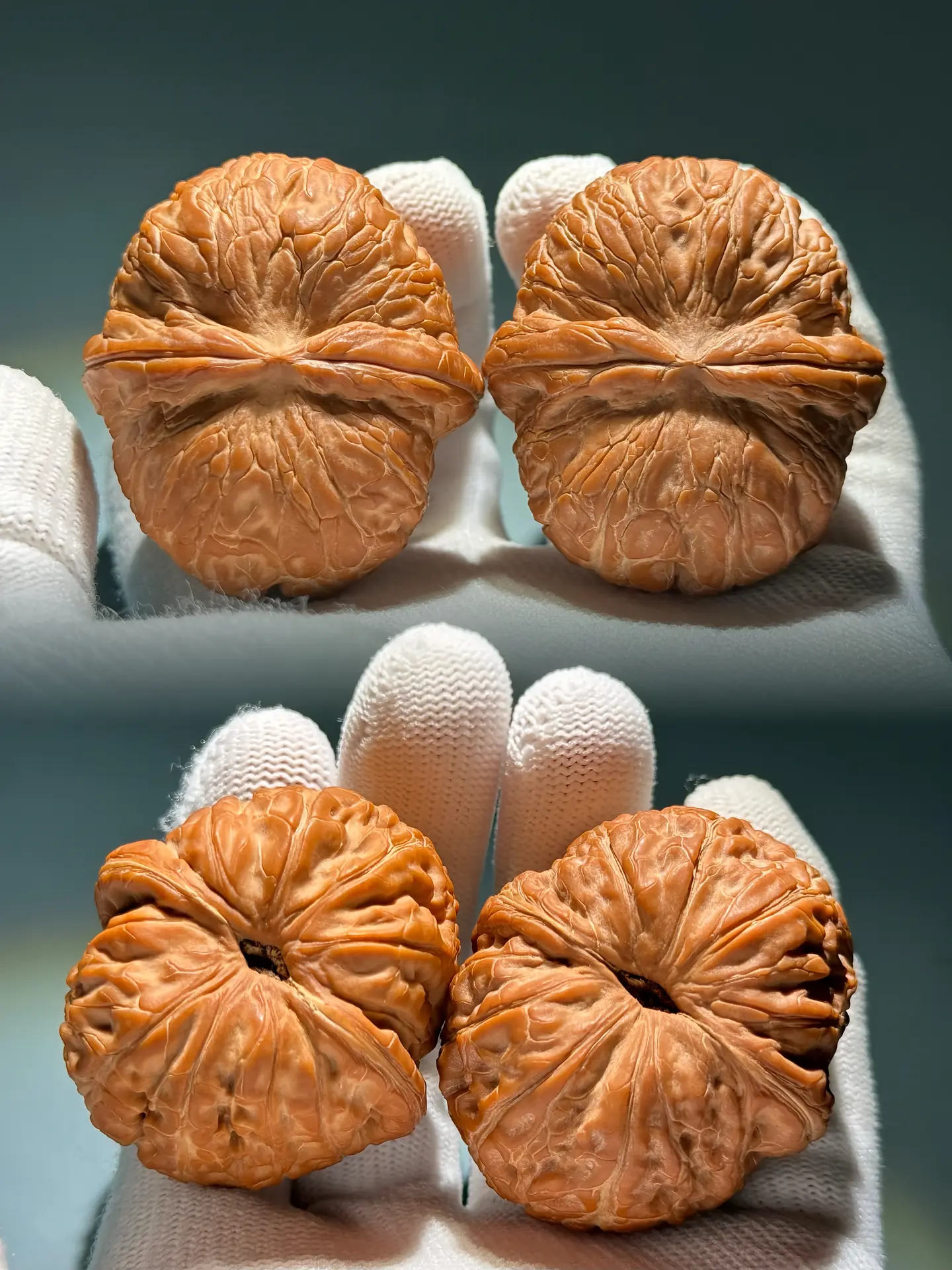 幻灯片-风庭夜雪