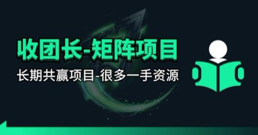 【团长合作】视频矩阵项目_招发手矩阵+剪辑师，共赢项目【揭秘】-风庭夜雪
