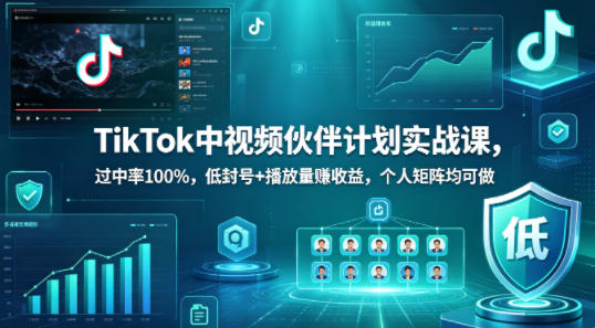 TikTok中视频伙伴计划实战课，过中率100%，低封号+播放量賺收益，个人矩阵均可做-风庭夜雪