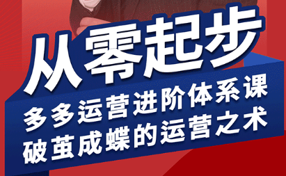 海神·拼多多运营进阶系统课(更新2026)-风庭夜雪